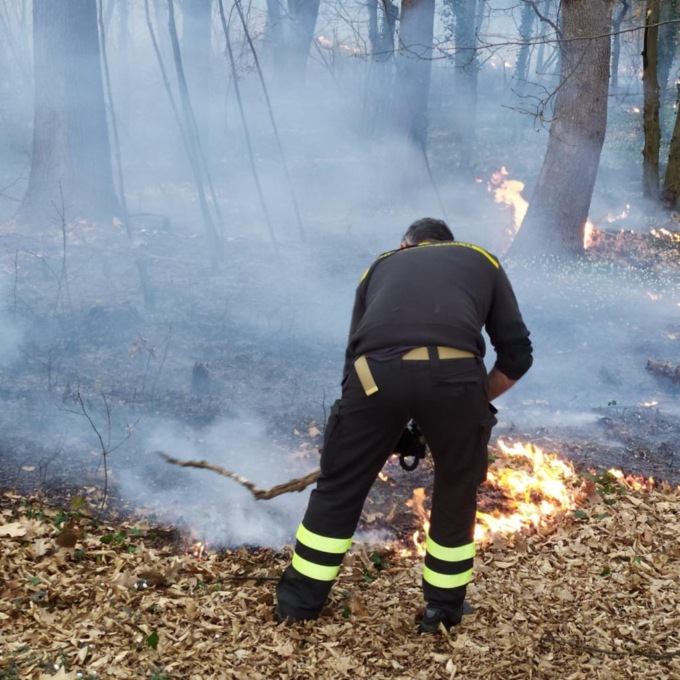 Incendi nei boschi, duplice intervento dei pompieri