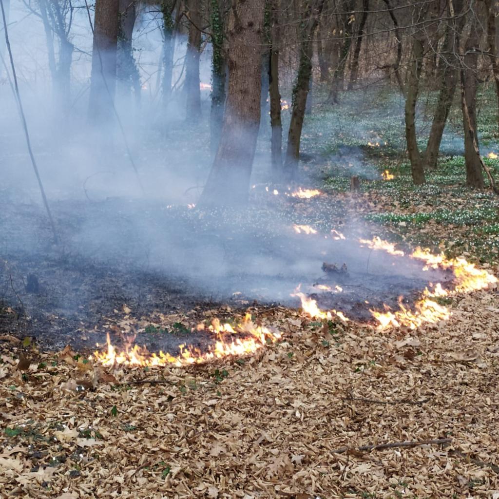 pompieri Vigili del fuoco incendio bosco sterpaglie Lesmo