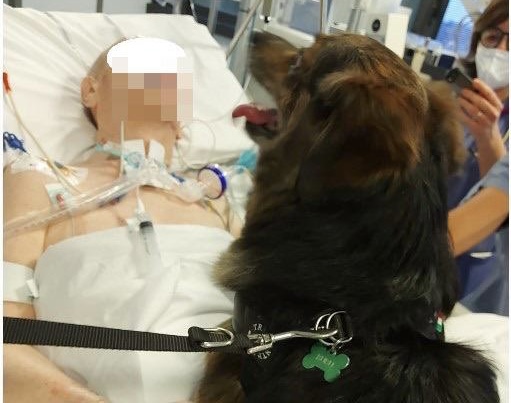 In rianimazione per una grave patologia: l’ospedale apre le porte al suo amato cagnolino