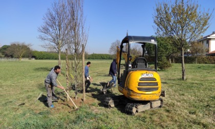 Verde pubblico, al via il nuovo appalto da oltre due milioni di euro