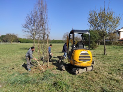 Verde pubblico, al via il nuovo appalto da oltre due milioni di euro