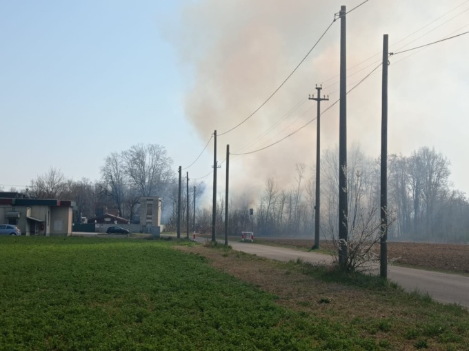Ancora fiamme al Parco delle Groane, è il quarto incendio in un mese