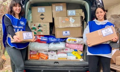Emergenza Ucraina: Enpa invia due furgoni carichi di cibo per aiutare cani e gatti - Prima Monza