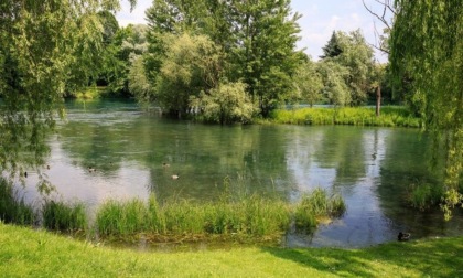 Un convegno per parlare di Biodiversità urbana in Brianza