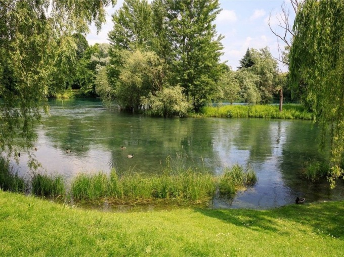 Un convegno per parlare di Biodiversità urbana in Brianza