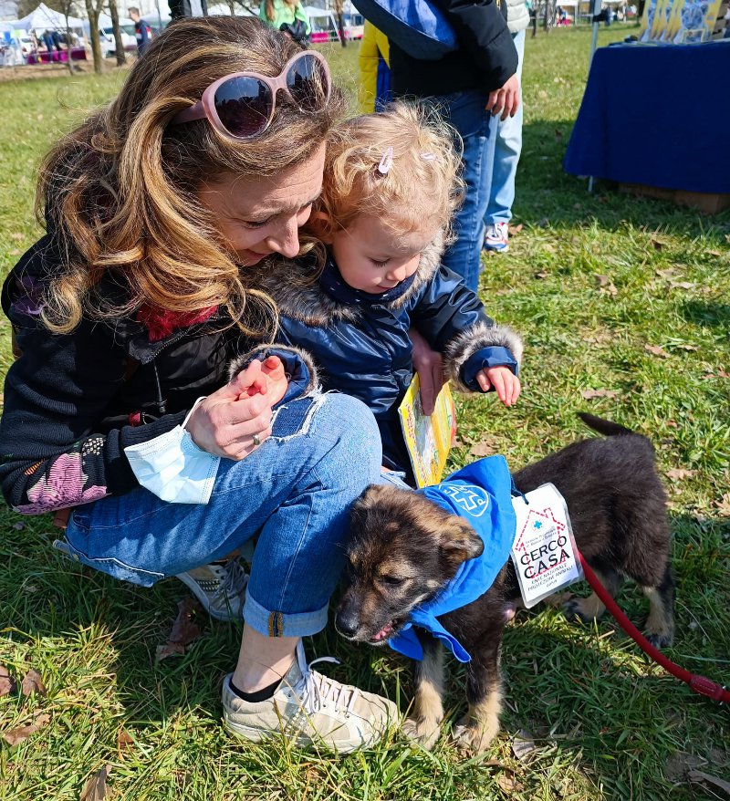 Tornano gli Amici Cucciolotti! – Canile di Arzignano