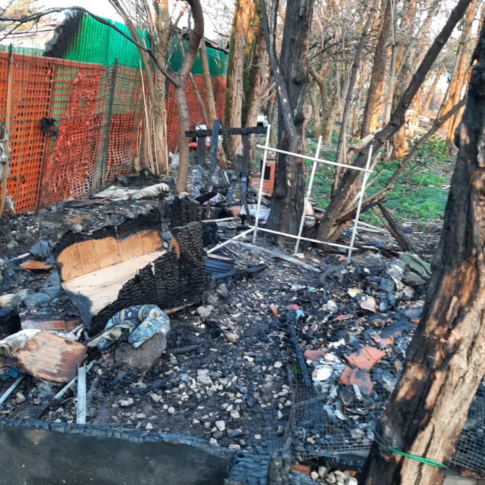 Devastante incendio distrugge la colonia felina