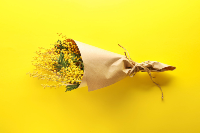 Arte, musica, corso di difesa e il Premio Meda Donna