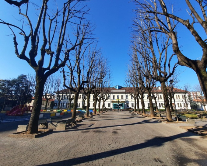 Lissone sempre più verde: in cinque anni 4mila nuovi alberi in città