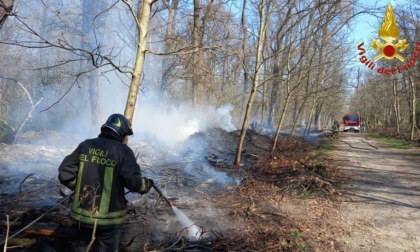In fiamme legna accatastata e sterpaglie nel Parco di Monza