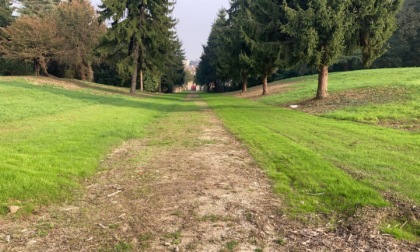 Monza chiede di entrare nel Parco del Grugnotorto