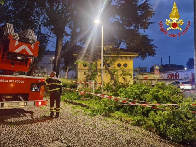 Cadono rami vicino alla stazione, intervengono i pompieri