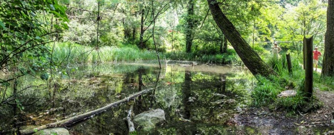 Carate, un progetto per far rinascere la “conca” di Agliate