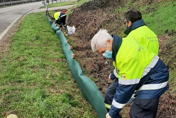 Al via l’operazione salva-rospi nel Parco delle Groane