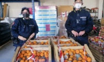 La Polizia locale sequestra 35 cassette di agrumi vendute senza autorizzazioni
