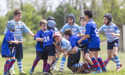 Trofeo Nazionale Minirugby Velate: vincono sport e divertimento