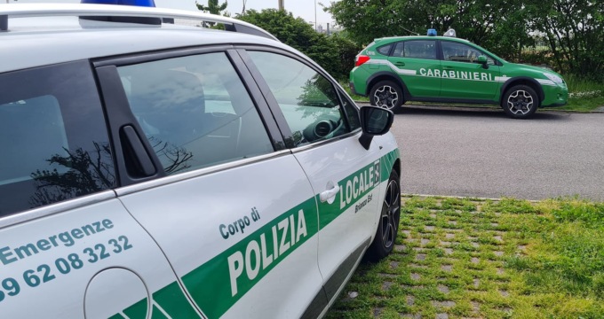 In casa teneva 14 tartarughe, ma senza regolare autorizzazione: denunciato, ora rischia grosso