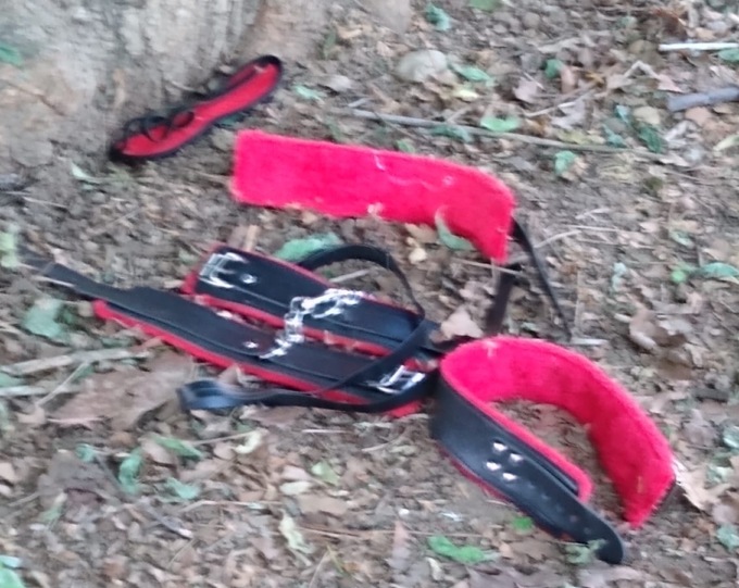 Giochi erotici “rinvenuti” da un cane in un parco pubblico