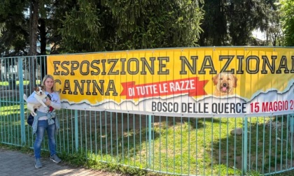 Torna l'esposizione nazionale canina al Bosco delle Querce