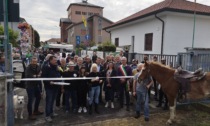 A Cesano Maderno il grande ritorno della Manifestazione zootecnica
