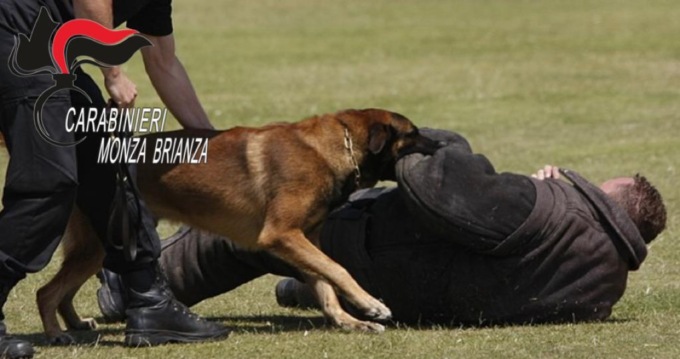 Il pusher tenta di scappare, lo ferma il cane antidroga