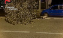 Ubriaco, ha un colpo di sonno, abbatte un  albero e carambola contro delle auto