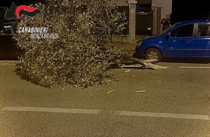 Ubriaco, ha un colpo di sonno, abbatte un  albero e carambola contro delle auto