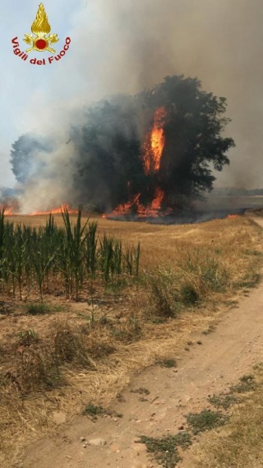 Bruciano sterpaglie, paura a Bellusco