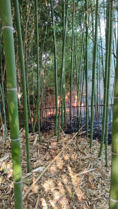 Incendio in Brianza: colonna di fumo visibile a chilometri