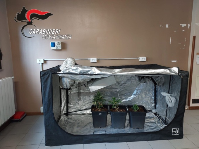 In casa aveva una serra per coltivare la marijuana