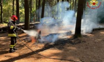 Vigili del fuoco domano le fiamme nel bosco