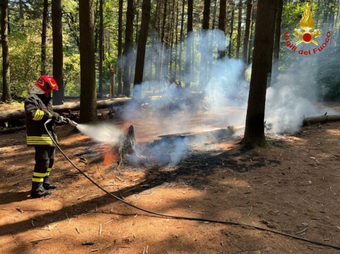 Vigili del fuoco domano le fiamme nel bosco