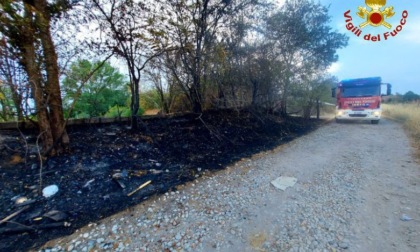 A fuoco delle sterpaglie, intervengono i pompieri