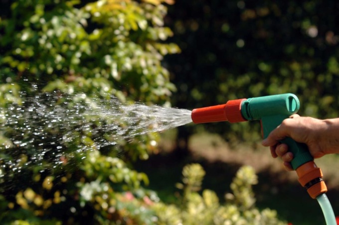 Carate, ordinanza sull’acqua: irrigazioni solo dalle 22 alle 7