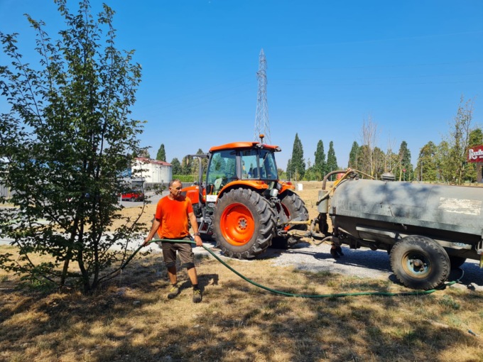 Patrimonio arboreo da preservare: a Monza potenziate le innaffiature ma le previsioni non sono incoraggianti