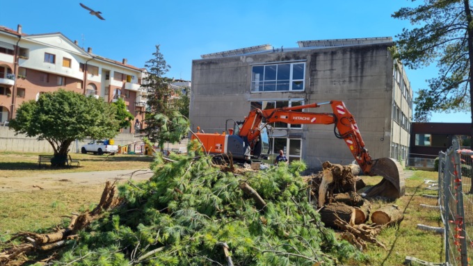Villasanta, l’ira della Lega per le piante abbattute nel giardino della scuola “Villa”