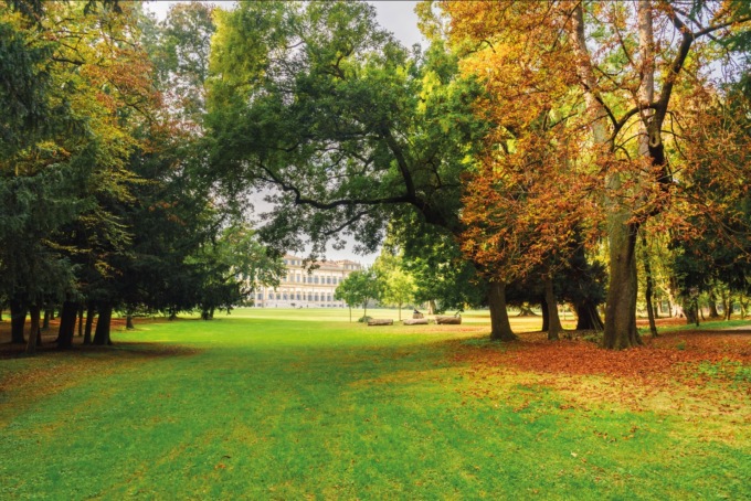 Al Parco di Monza le storie degli alberi antichi