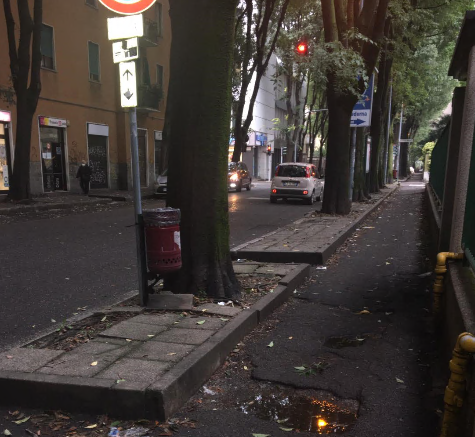 Il marciapiede sconnesso di via Buonarroti verrà rifatto: previsto il taglio di 7 alberi