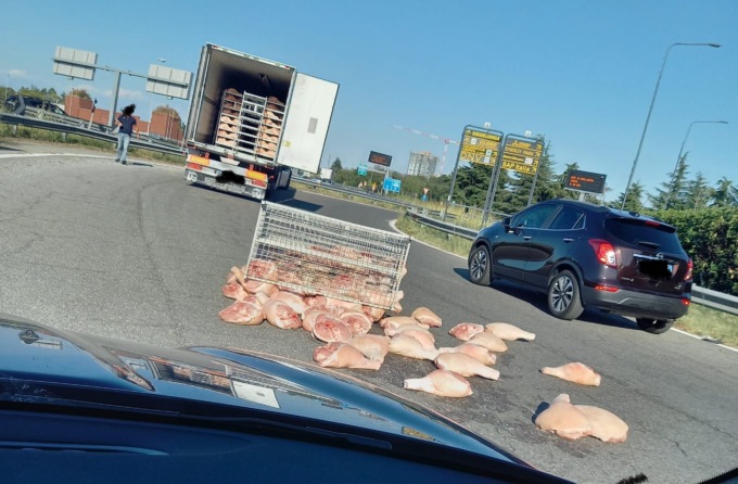 Camion perde carico di carne all’imbocco della Tangenziale est