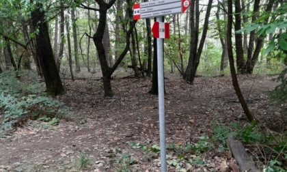 Iniziati i lavori per installare la segnaletica sul sentiero Meda-Montorfano