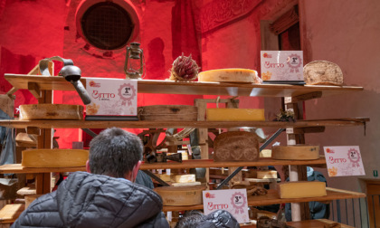 Mostra del Bitto: a Morbegno, in Valtellina, per scoprire la tradizione alpina