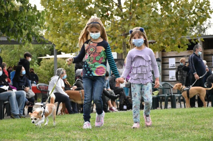 Torna il concorso canino e la benedizione di Enpa