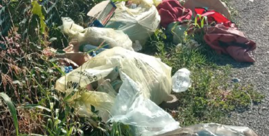 In arrivo sacchi più piccoli, telecamere e orari modificati. L’assessore anticipa le novità