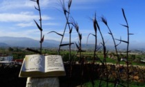 Il Centro civico Libertà e quello di San Rocco ospitano un omaggio a Grazia Deledda