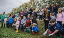 Un bosco a tutela dell'ambiente e della socialità