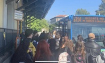 Schiacciata dal bus, scatta la petizione