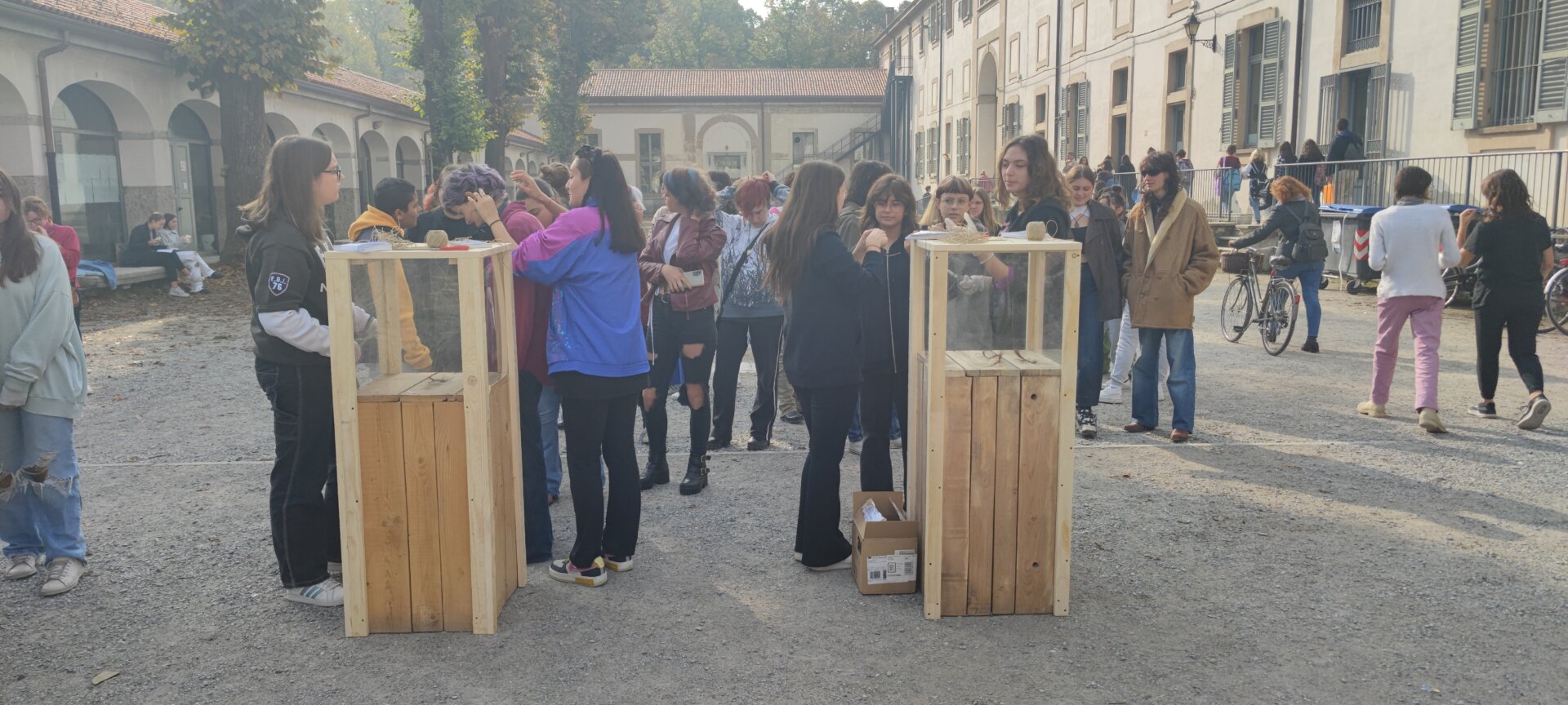 Studenti e studentesse pronti per il taglio della ciocca