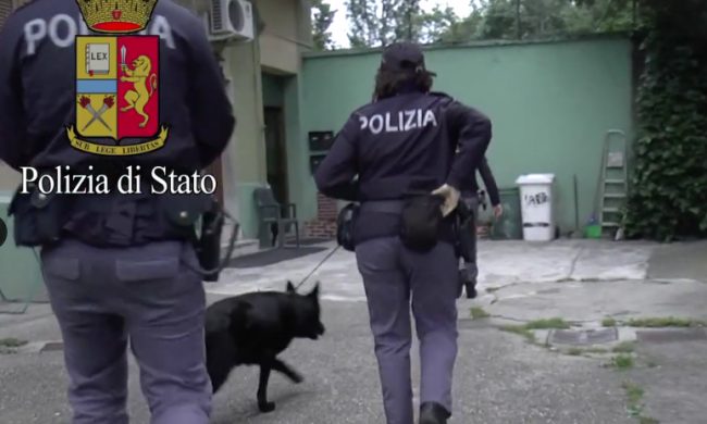 Grazie al fiuto dei cani la Polizia scova la cocaina a casa del pusher