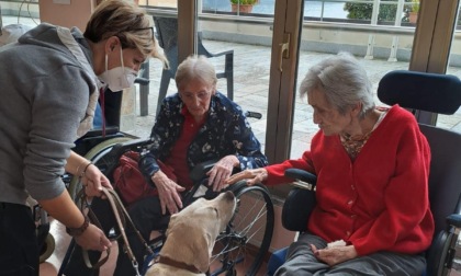 Dalla sala operatoria all'amore degli anziani: la nuova vita di Emma è la Pet Therapy