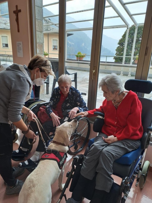 Dalla sala operatoria all’amore degli anziani: la nuova vita di Emma è la Pet Therapy